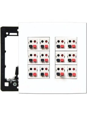 12 Speaker Wall Plate - 2 Gang Screwless Audio Port Panel for Home Theater
